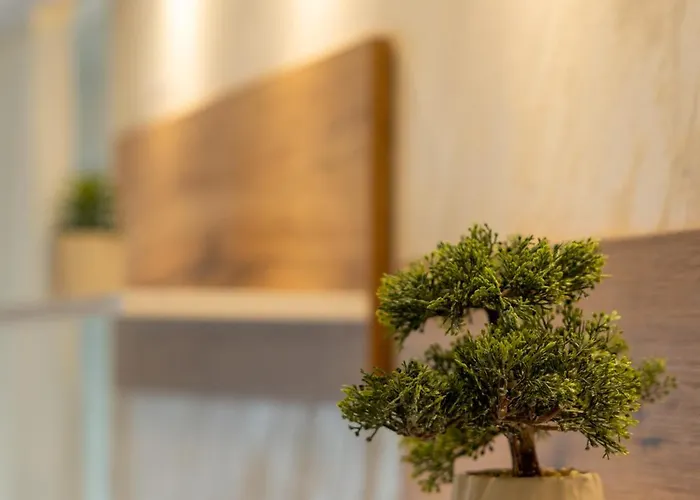 Relax شقة فرانيي